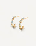 ombré earrings 