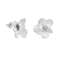 Orecchini Pampalonia placcati argento – JOIDART