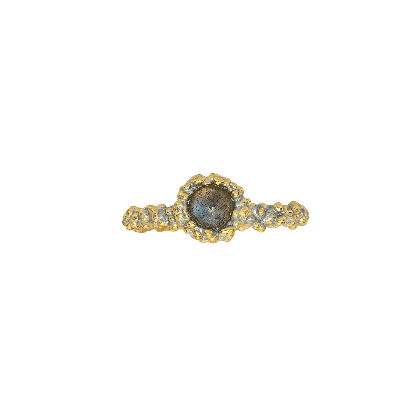 Anello Risi