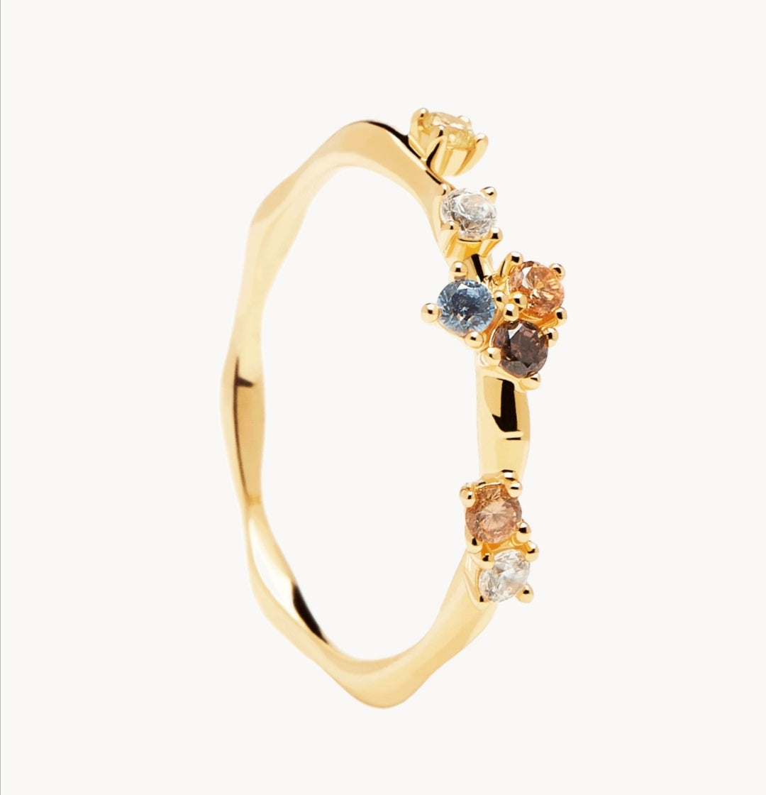 Ring Five PDPAOLA