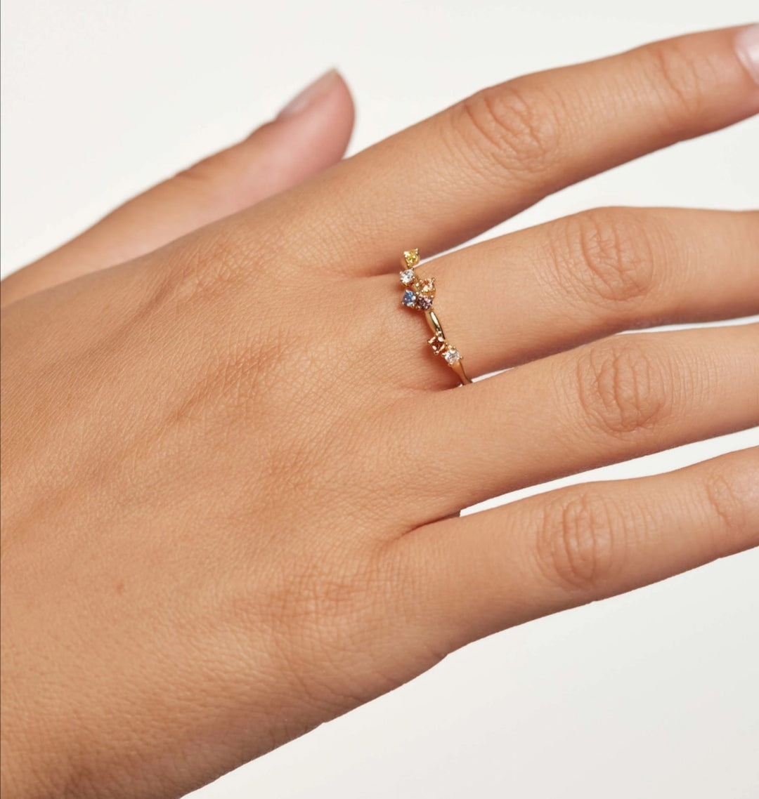 Ring Five PDPAOLA