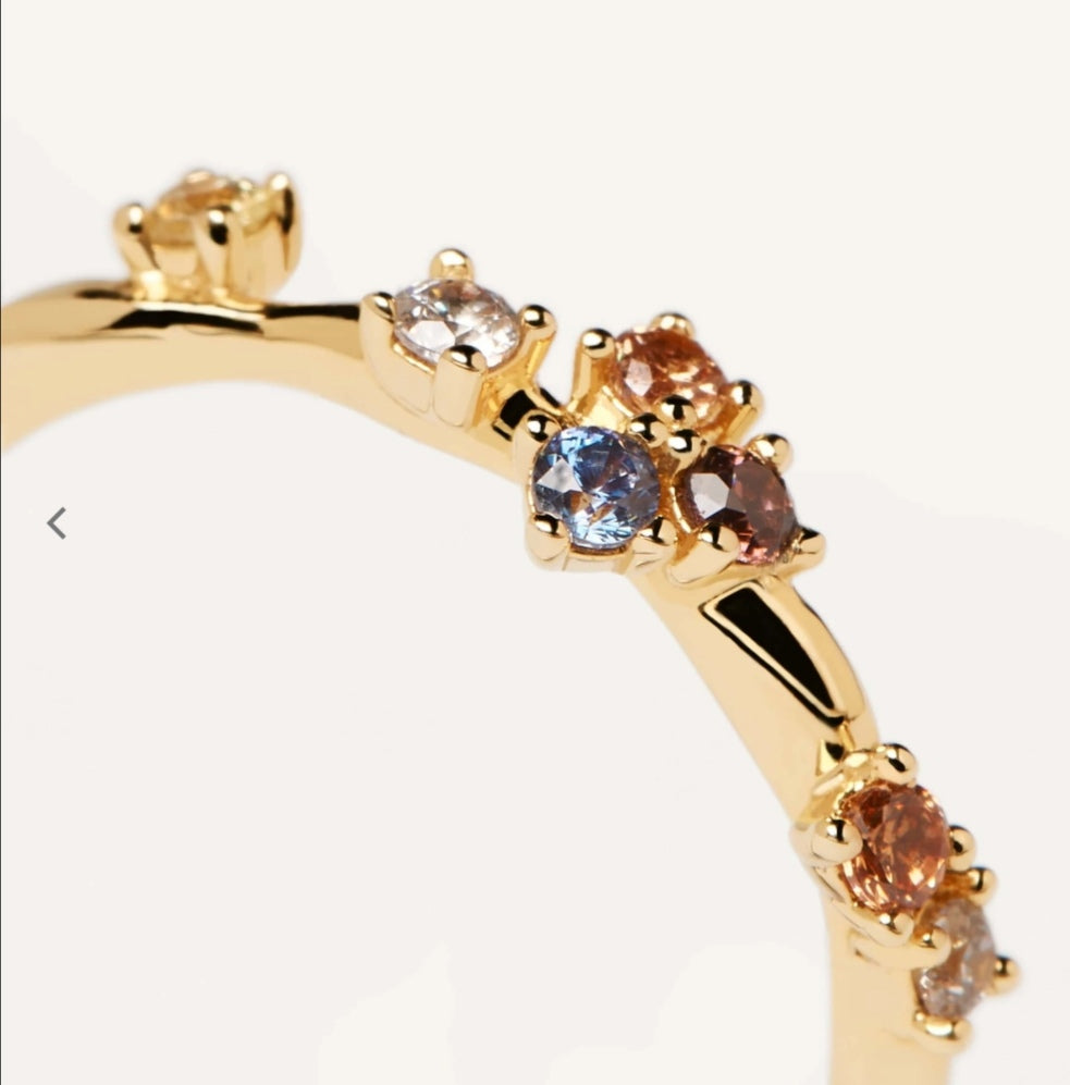 Ring Five PDPAOLA