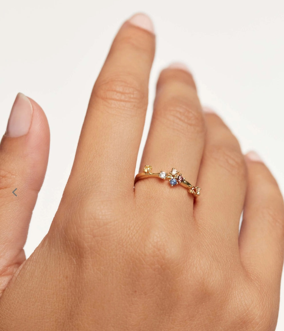 Ring Five PDPAOLA