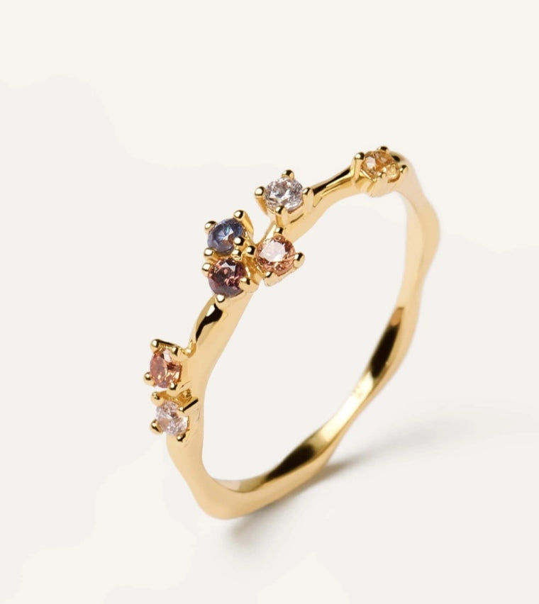 Ring Five PDPAOLA
